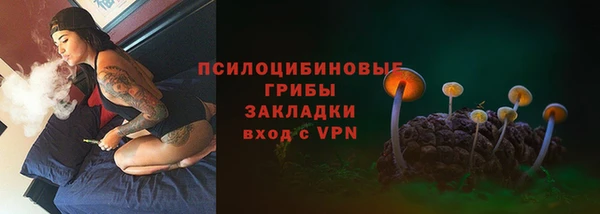 apvp Дрезна