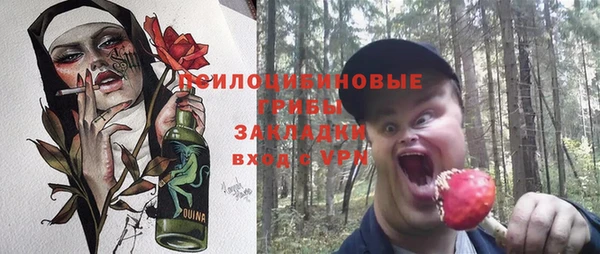 МДПВ Верхний Тагил
