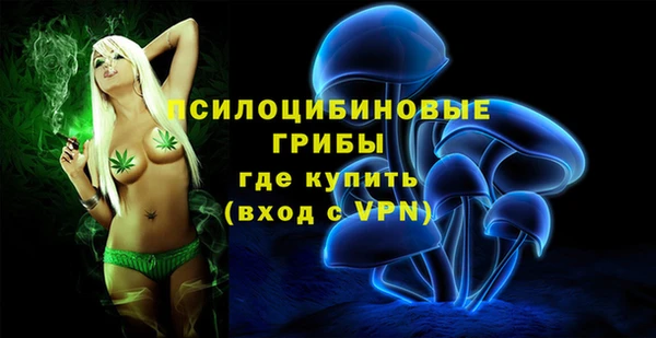 МДПВ Верхний Тагил