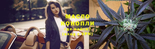 крисы Дубна