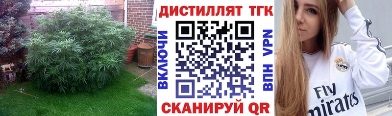 купить наркотики цена Дигора Дистиллят ТГК Wax